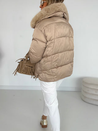 Winter Steppjacke 2508257-59