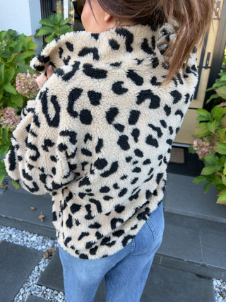 Leo Teddy Sweater 2610096 - Levelone GmbH & Co. KG